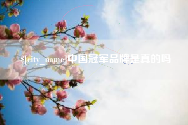 苍南中国冠军品牌是真的吗