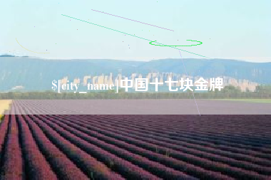 苍南中国十七块金牌