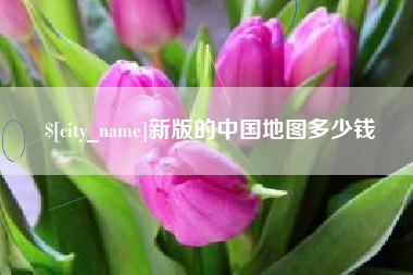 苍南新版的中国地图多少钱