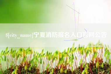 苍南宁夏消防报名入口官网公告