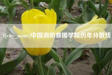 苍南中国消防救援学院历年分数线