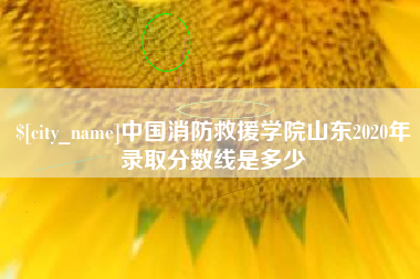 苍南中国消防救援学院山东2020年录取分数线是多少