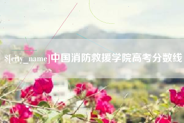 苍南中国消防救援学院高考分数线