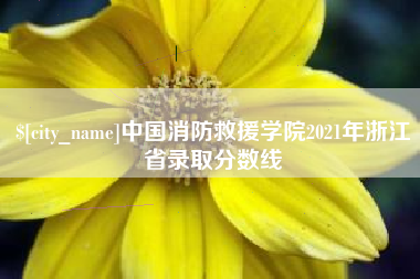 苍南中国消防救援学院2021年浙江省录取分数线
