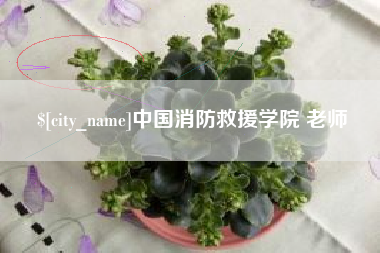 苍南中国消防救援学院 老师