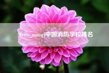 苍南中国消防学校排名