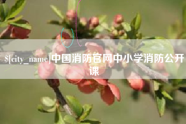 苍南中国消防官网中小学消防公开课