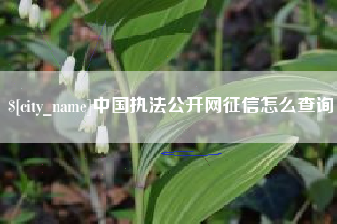 苍南中国执法公开网征信怎么查询