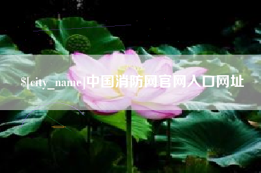 苍南中国消防网官网入口网址