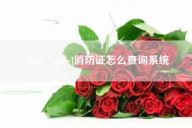 苍南消防证怎么查询系统