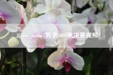 苍南男子5000米决赛视频