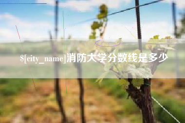 苍南消防大学分数线是多少