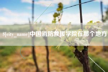 苍南中国消防救援学院在那个地方