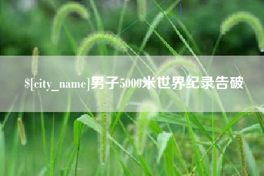 苍南男子5000米世界纪录告破