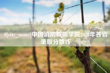 苍南中国消防救援学院2020年各省录取分数线