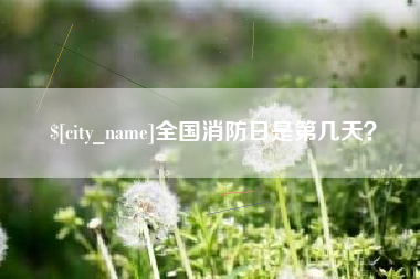 苍南全国消防日是第几天？