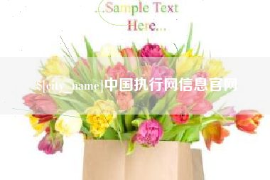 苍南中国执行网信息官网