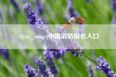 苍南中国消防报名入口