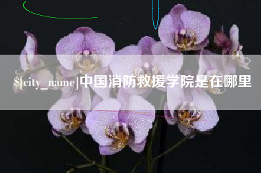 苍南中国消防救援学院是在哪里