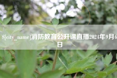 苍南消防教育公开课直播2024年9月6日