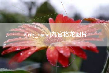 苍南九宫格龙图片
