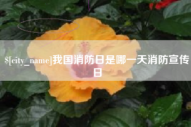 苍南我国消防日是哪一天消防宣传日