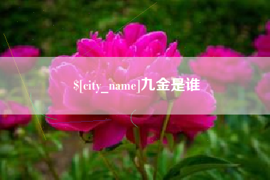 苍南九金是谁