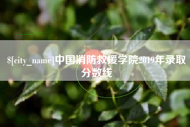 苍南中国消防救援学院2019年录取分数线