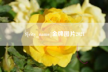 苍南金牌图片2021