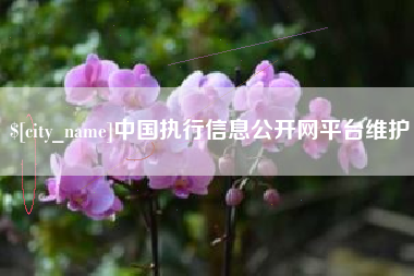 苍南中国执行信息公开网平台维护