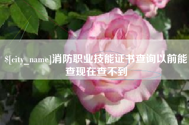 苍南消防职业技能证书查询以前能查现在查不到