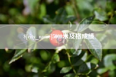苍南5000米及格成绩