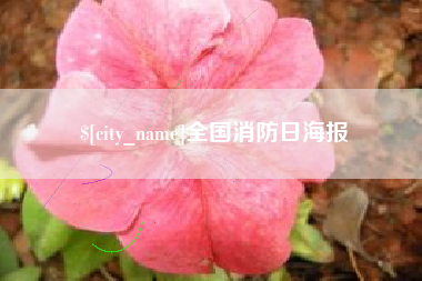 苍南全国消防日海报