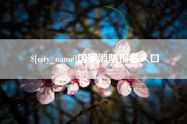 苍南国家消防报名入口