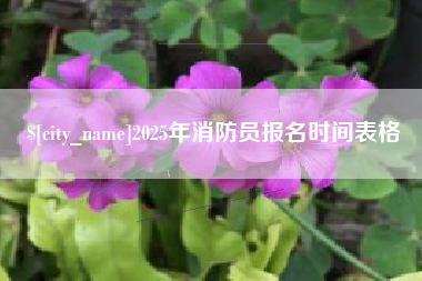 苍南2025年消防员报名时间表格