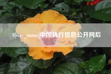 苍南中国执行信息公开网后