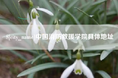 苍南中国消防救援学院具体地址