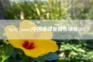 苍南中国金牌是哪些项目2021
