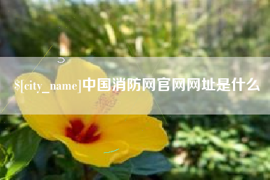 苍南中国消防网官网网址是什么
