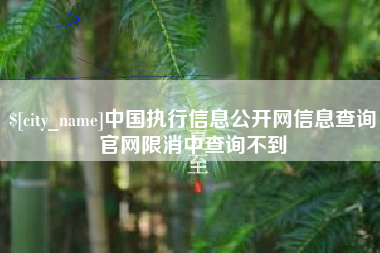 苍南中国执行信息公开网信息查询官网限消中查询不到