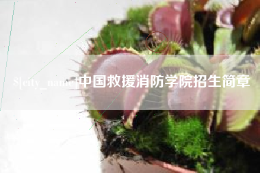 苍南中国救援消防学院招生简章