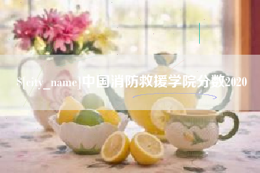 苍南中国消防救援学院分数2020