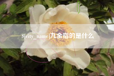 苍南九金指的是什么