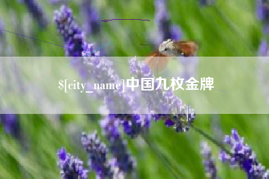 苍南中国九枚金牌