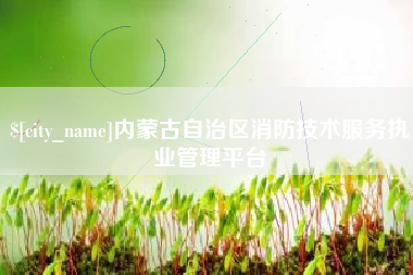 苍南内蒙古自治区消防技术服务执业管理平台