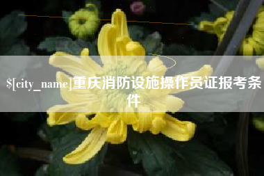 苍南重庆消防设施操作员证报考条件