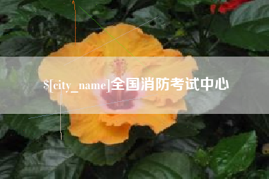 苍南全国消防考试中心