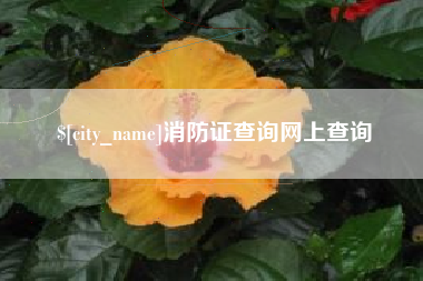 苍南消防证查询网上查询