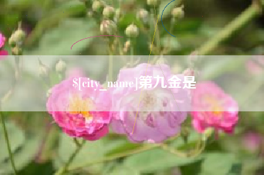 苍南第九金是