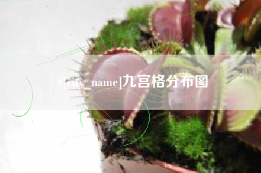 苍南九宫格分布图